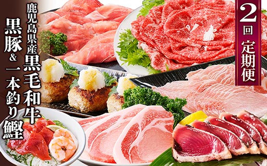 定期便(2回配送)鹿児島県産黒毛和牛・豚肉・一本釣りかつお DD-6004【配送不可地域：離島】【1166749】