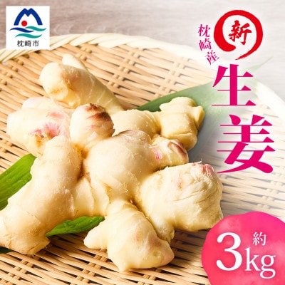 【先行受付】枕崎産 新生姜 約3kg(国産・農家直送)【2026年9月上旬より順次発送】 A3-38【配送不可地域：離島】【1739865】