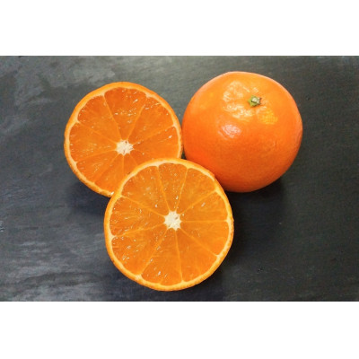 【訳あり】鹿児島県枕崎市産　濃厚完熟たんかん5kg A8-6【配送不可地域：離島】【1473862】