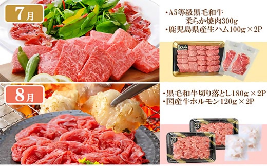 定期便8回配送　ぜいたく!!お楽しみ定期便　HH0-0001【配送不可地域：離島】【1505356】