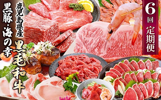 定期便(6回配送)　鹿児島県産黒毛和牛・黒豚・海の幸　HH5-0001【配送不可地域：離島】【1584184】