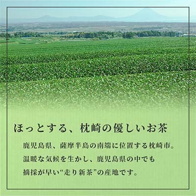 【のし付き・お中元】「天然玉露あさつゆ」緑茶ティーバッグ　水出し・お湯両用タイプ　A8‐86C【1511433】