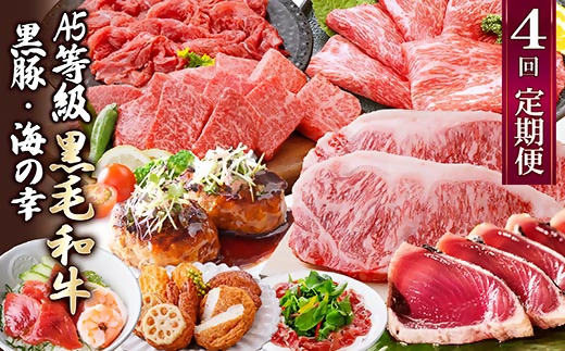 定期便(4回配送)黒毛和牛&黒豚・かつお・さつまあげ NN-0040【配送不可地域：離島】【1166778】
