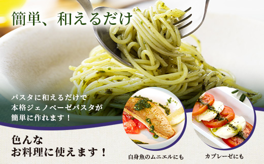 発酵ジェノベーゼソース(150g×4個)【鹿児島県枕崎産 バジル使用】B0-9【配送不可地域：離島】【1611641】