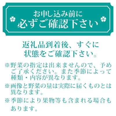 枕崎には野菜もある!!定番・旬のお試し野菜セット　A0−38【配送不可地域：離島】【1535821】