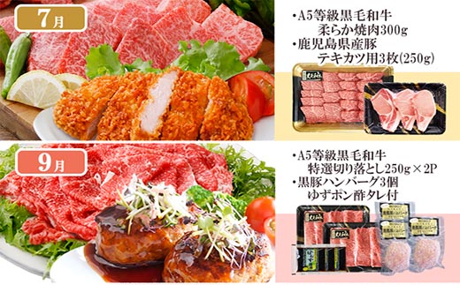 定期便(1年で10回配送)お楽しみ便(A5等級黒毛和牛・黒豚)HH-6004【配送不可地域：離島】【1166752】