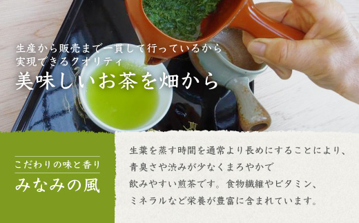 【お歳暮・のし付き】お茶の“厚石園”の特選深蒸しセット【極上・特上 計3パック】緑茶 B3-30S【配送不可地域：離島】【1461781】