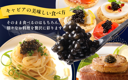 ãæ°ééå®ãè©æ©é»ãã£ãã¢é»ç ç 鹿å
å³¶æ°Žç£é«æ ¡ æåŽãã£ãã¢ãæšç®±å
¥ããã20gÃ1ç®±ã C3-2ãé
éäžå¯å°åïŒé¢å³¶ãã1614940ã