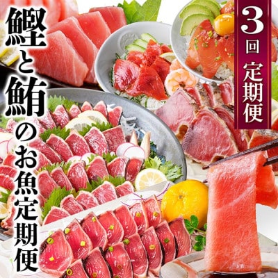 定期便3回配送　鰹とまぐろのお魚定期便　QQ-0005【配送不可地域：離島】【1543247】