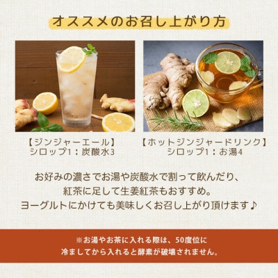 逋コ驟オ繧ク繝ウ繧ク繝」繝シ繧キ繝ュ繝繝&逕倬コケ縲蜷1繝代ャ繧ッ繧サ繝繝 A2-19縲宣埼∽ク榊庄蝨ー蝓滂シ夐屬蟲カ縲代1619446縲