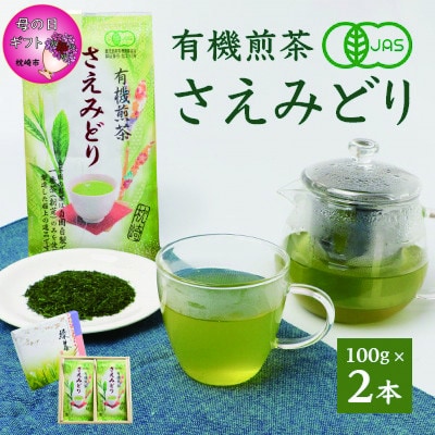 【母の日】1番茶のみを使用 有機煎茶【さえみどり】KAORU園 (100g×2本) A6-118M【1495565】