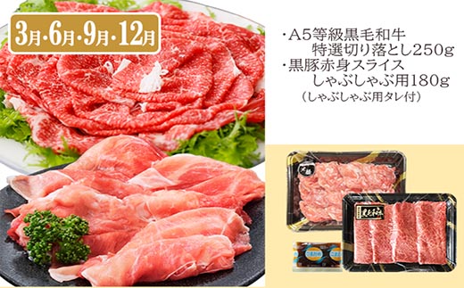 定期便(3回配送)鹿児島産A5等級黒毛和牛&黒豚 EE-6014【配送不可地域：離島】【1471286】