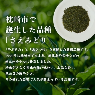 1番茶(新芽)のみを使用 有機煎茶【さえみどり】KAORU園 (100g×3本)  CC-150【1167075】