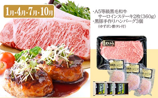 定期便(3回配送)鹿児島産A5等級黒毛和牛&黒豚 EE-6014【配送不可地域：離島】【1471286】