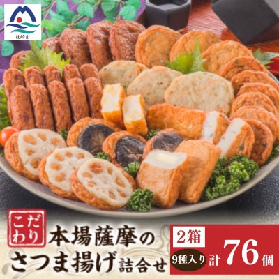 鹿児島 松野下蒲鉾 さつま揚げ詰合せ　2セット分 B3-113【配送不可地域：離島】【1737637】