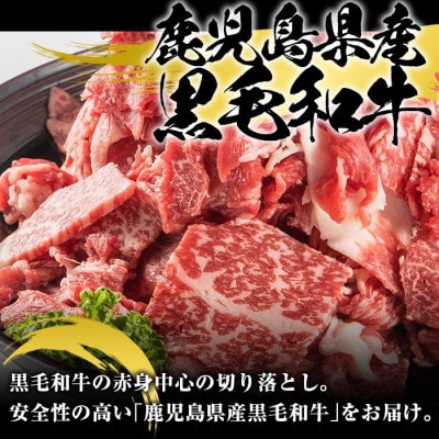 鮖ソ蜈仙ウカ逵檎肇 鮟呈ッ帛柱迚 蛻繧願誠縺ィ縺 險育エ1kg(邏500gテ2繝代ャ繧ッ)(譫募エ主ク) A8-128縲宣埼∽ク榊庄蝨ー蝓滂シ夐屬蟲カ縲代1745190縲