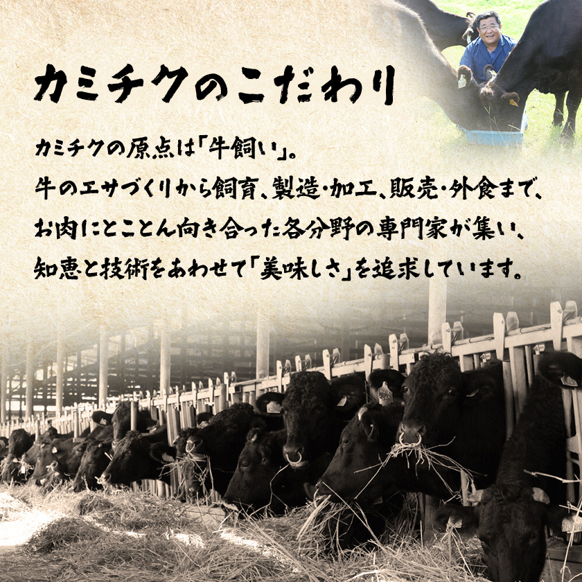 A5等級鹿児島県産黒毛和牛大判切落し(枕崎市) A0-78【配送不可地域：離島】【1650517】