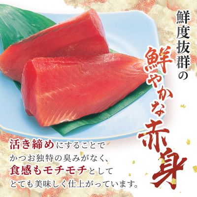 本場枕崎 一本釣り “ぶえん鰹”セット 800g HACCP認定工場 甘露タレ付き A3−307【配送不可地域：離島】【1167025】