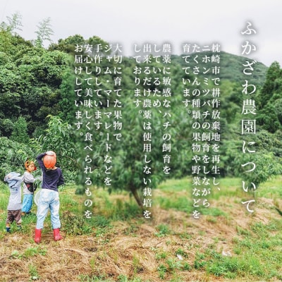 ããäžå
ããµããã蟲åã®æ¢
ã·ããã 180mlÃ3ç¶ãæã¥ãã ã·ããã åžéçš A3-27Cãé
éäžå¯å°åïŒé¢å³¶ãã1166384ã