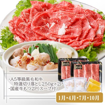 定期便【3回配送】枕崎お楽しみ便(A5黒毛和牛・豚ロース・黒豚ハンバーグ・かつお丼)LL-6037【配送不可地域：離島】【1473519】