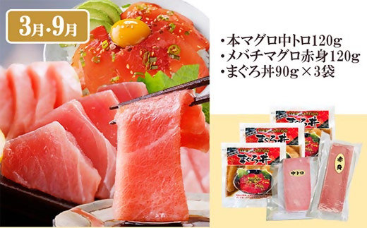 定期便6回配送　よりどりバラエティーセット　GG5-0004【配送不可地域：離島】【1573860】