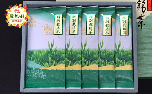 【敬老の日】特別栽培茶 (深蒸し茶) 5袋 セット 化粧箱入り 【有機認証農園】 【有機栽培】 【ギフト】 CC-196