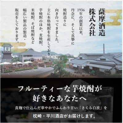 【毎月定期便】薩摩酒造の定番の焼酎【さくら白波】1800ml×2本セット PP-0004 全2回【配送不可地域：離島】【4071373】