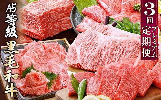 繝励Ξ繝溘い繝縲A5遲臥エ夐サ呈ッ帛柱迚帛ョ壽悄萓ソ(3蝗樣埼) FF-0055縲宣埼∽ク榊庄蝨ー蝓滂シ夐屬蟲カ縲代1166766縲