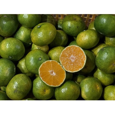 ååœã°ã¢ããšãã£ããææ©ã®çœããã«ã¯ãã«ã·ããã ãã°ã¢ãææ©ã·ãããã A3-385ãé
éäžå¯å°åïŒé¢å³¶ãã1695315ã