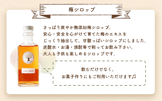 ふかざわ農園の梅シロップ 180ml×3瓶　手づくり シロップ ジュース 希釈用  A3-27【配送不可地域：離島】【1166382】