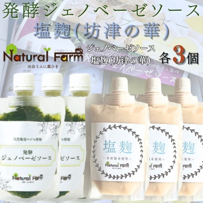 発酵ジェノベーゼソース&塩麹　各3パックセット B5-12【配送不可地域：離島】【1619070】