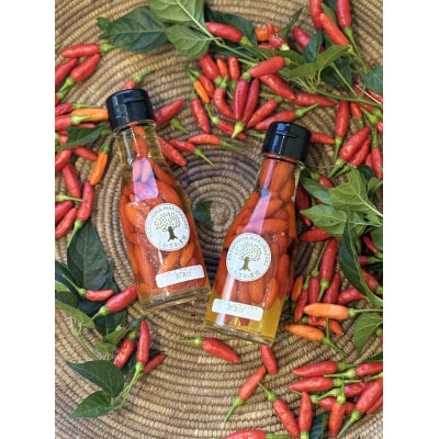 ã飯ãããã!èŸã¿èª¿å³æã»ãã Z0-58ãé
éäžå¯å°åïŒé¢å³¶ãã1678463ã