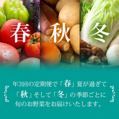 【発送月固定定期便】枕崎の野菜!!定番・旬の野菜お任せセット(4・10・1月)DD0−0007全3回【配送不可地域：離島】【4057601】