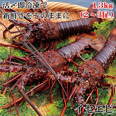 枕崎お魚センター【豪華特産品・特盛】枕崎牛サーロインステーキ イセエビ ローストチキン F1−6【配送不可地域：離島】【1460423】