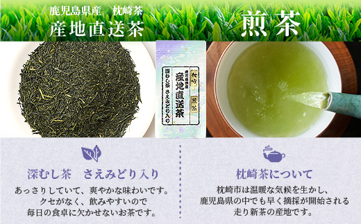 【 煎茶 】  ( 100g×5本 )  鹿児島県 枕崎産 大河内製茶 A3-212【配送不可地域：離島】【1167084】