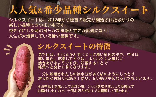 シルクスイート 〈5キロ〉 サツマイモ さつまいも 鹿児島県 A3−346【1167014】