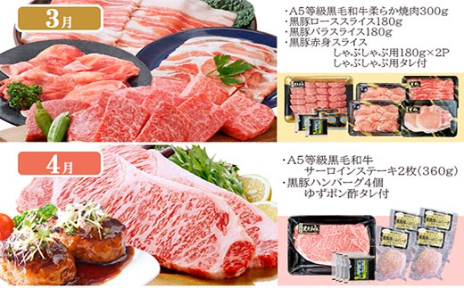 定期便(12回配送)枕崎お楽しみ便(A5等級黒毛和牛・黒豚・黒豚加工品・さつまあげ等)JJ-6003【配送不可地域：離島】【1166754】