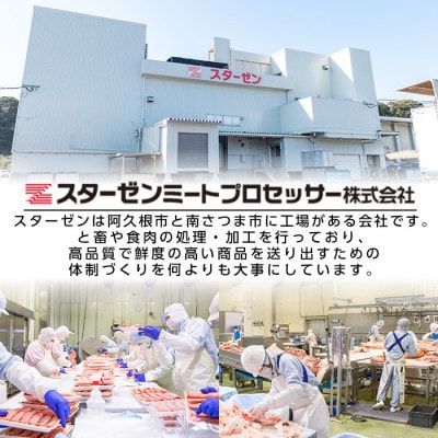 鹿児島県産 黒豚 しゃぶしゃぶ用 肩ローススライス 計約1kg(枕崎市) A3-391【配送不可地域：離島】【1745176】