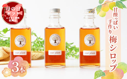 【母の日】ふかざわ農園の梅シロップ 手づくり シロップ ジュース 希釈用 A3-27M【配送不可地域：離島】【1493753】