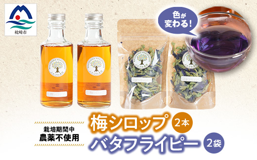 手づくり梅シロップ バタフライピーセット　A3-31【配送不可地域：離島】【1440546】