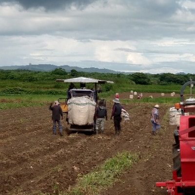 【本格焼酎】南之方　1800mlパック×1パック A0-80【配送不可地域：離島】【1720402】