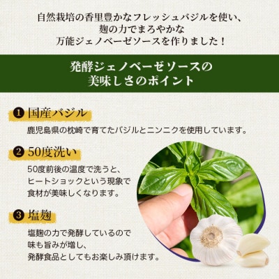 発酵ジェノベーゼソース&甘麹　各1パックセット A1-8【配送不可地域：離島】【1619101】
