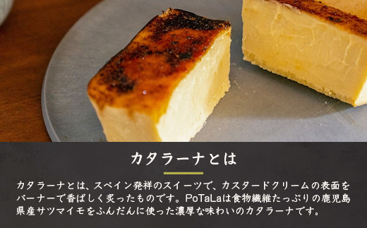 サツマイモのカタラーナ 〜ポタラPoTaLa〜 迷い込んだ森の先で 1本350g  A3-180【配送不可地域：離島】【1166369】