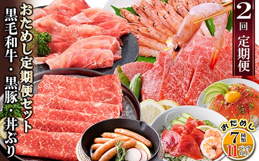定期便2回配送　鹿児島県産黒毛和牛・黒豚・漬丼　お試し定期便セット DD-6007【配送不可地域：離島】【1486099】