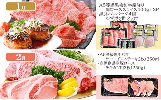 定期便(12回配送)枕崎お楽しみ便(A5等級黒毛和牛・黒豚・黒豚加工品・さつまあげ等)JJ-6003【配送不可地域：離島】【1166754】