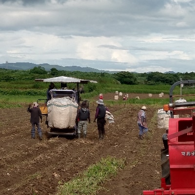 【本格焼酎】南之方　1800mlパック×5パック C8-1【配送不可地域：離島】【1720398】