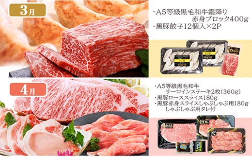 å®æäŸ¿(1幎ã§10åé
é)æåŽã楜ãã¿äŸ¿(A5ççŽé»æ¯åçã»é»è±ã»é»è±å å·¥åetc) II-6002ãé
éäžå¯å°åïŒé¢å³¶ãã1166753ã