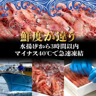 天然タカエビ250g×3箱　A1−1【配送不可地域：離島】【1524606】