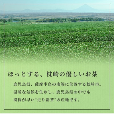 【父の日】「天然玉露あさつゆ」緑茶ティーバッグ(5g×25P)×4袋　AA-668F【1494847】