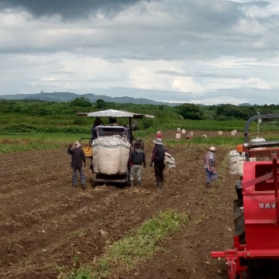 【本格焼酎】南之方　1800mlパック×2パック A8-125【配送不可地域：離島】【1720401】